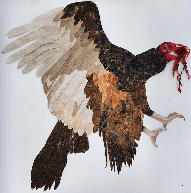 Bloody Turkey Vulture (October 2024); Gouache on Paper